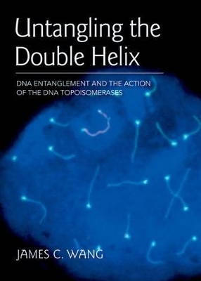 Untangling the Double Helix book