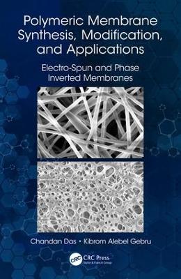 Polymeric Membrane Synthesis, Modification, and Applications: Electro-Spun and Phase Inverted Membranes book