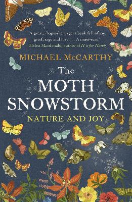 Moth Snowstorm book