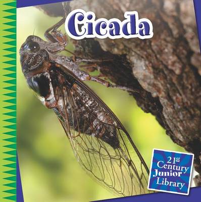 Cicada by Mike Shoulders