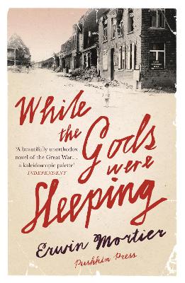 While the Gods Were Sleeping book