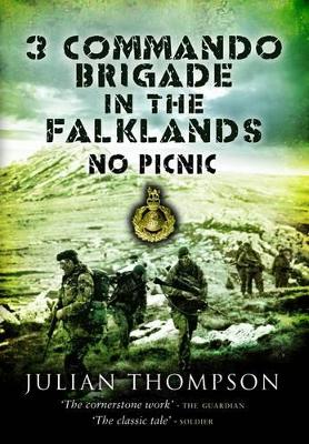 3 Commando Brigade in the Falklands book