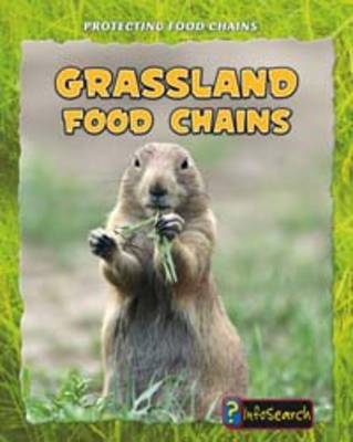 Grassland Food Chains book