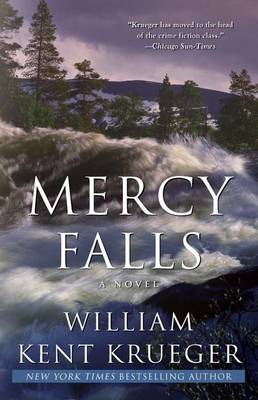 Mercy Falls book