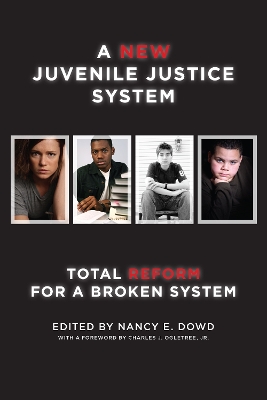 New Juvenile Justice System book