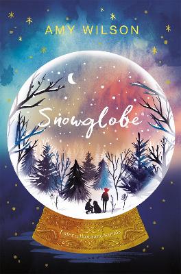 Snowglobe book