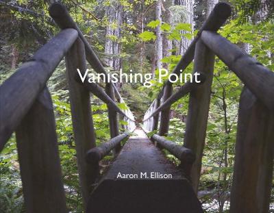 Vanishing Point book