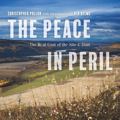 Peace in Peril book