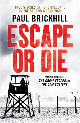 Escape or Die: True stories of heroic escape in the Second World War book