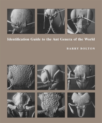 Identification Guide to the Ant Genera of the World book