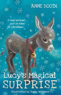 Lucy's Magical Surprise book