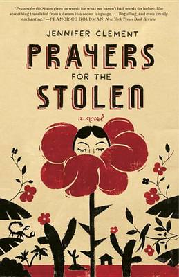 Prayers for the Stolen book