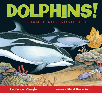 Dolphins! book