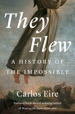 They Flew: A History of the Impossible book