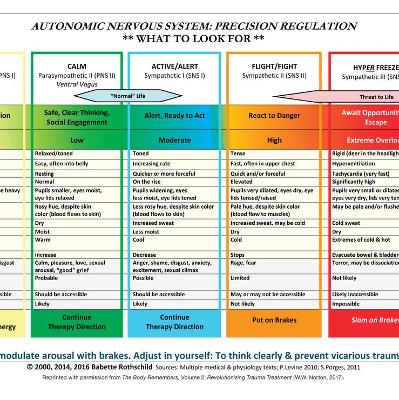 Autonomic Nervous System Table: Laminated Card book