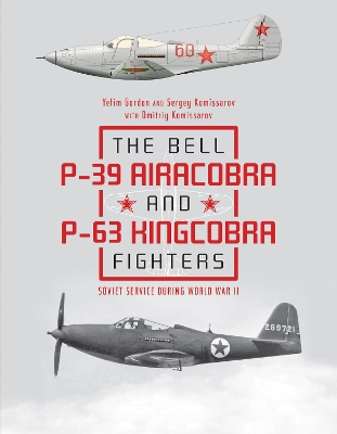 The Bell P-39 Airacobra and P-63 Kingcobra Fighters: Soviet Service during World War II book