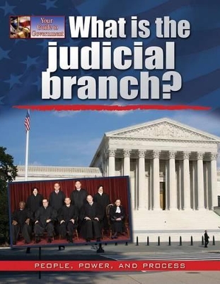 What Is the Judicial Branch? book