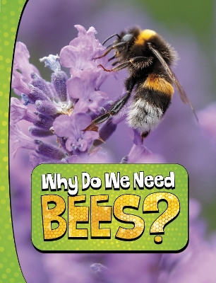 Why Do We Need Bees? book