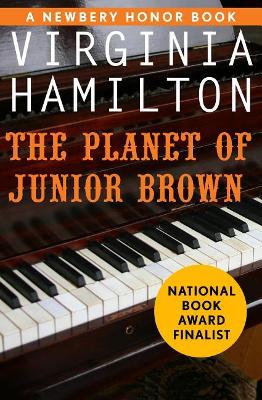 The Planet of Junior Brown by Virginia Hamilton