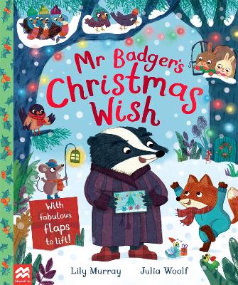 Mr Badger's Christmas Wish book