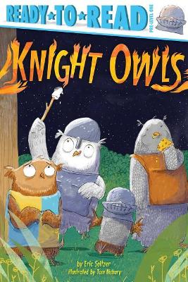 Knight Owls: Ready-to-Read Pre-Level 1 book