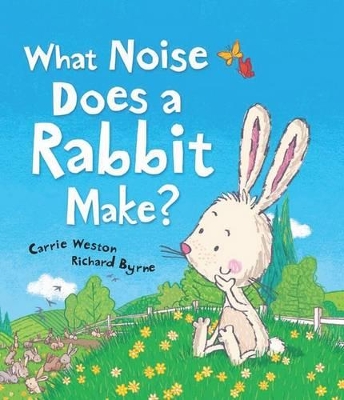 What Noise Does Rabbit Make book