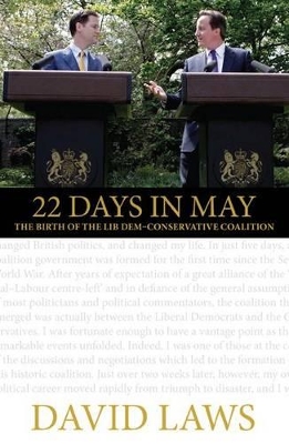 22 Days in May book