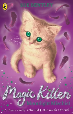 Magic Kitten: Moonlight Mischief book