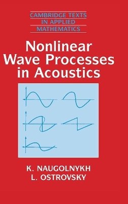 Nonlinear Wave Processes in Acoustics book