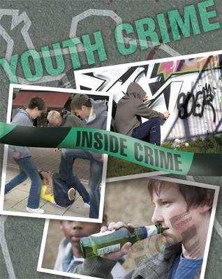 Youth Crime book