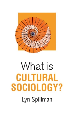 What is Cultural Sociology? book