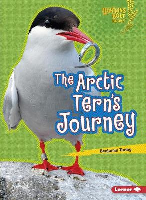 The Arctic Tern's Journey by Benjamin Tunby