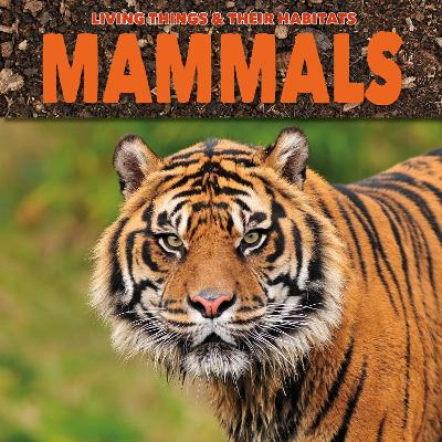 Mammals book