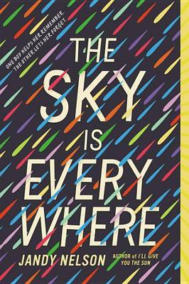 Sky Is Everywhere book