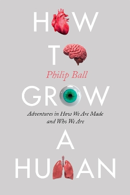 How to Grow a Human: Adventures in How We Are Made and Who We Are book
