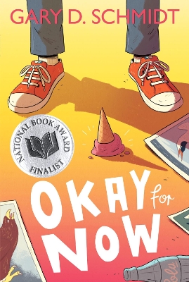 Okay for Now book
