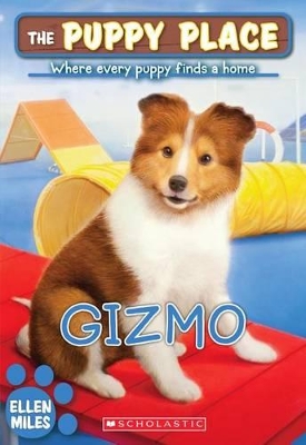 Gizmo book