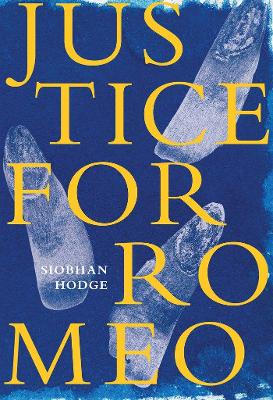 Justice for Romeo book