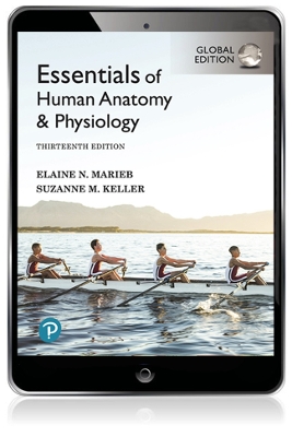 Essentials of Human Anatomy & Physiology, Global Edition by Elaine Marieb