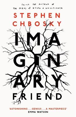 Imaginary Friend: The new novel from the author of The Perks Of Being a Wallflower book