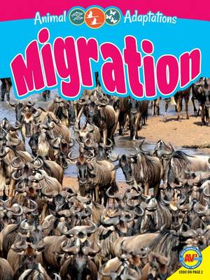 Migration by Megan Kopp