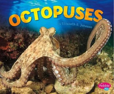 Octopuses by Elizabeth R. Johnson