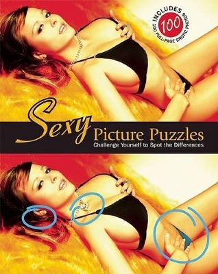 Sexy Picture Puzzles book