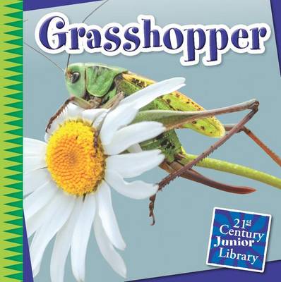 Grasshopper by Susan H Gray