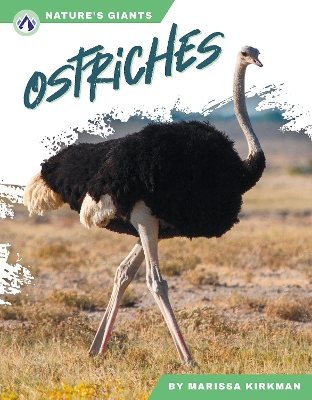 Ostriches by Marissa Kirkman