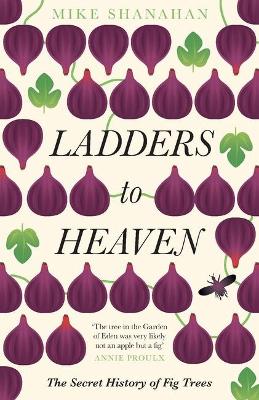 Ladders to Heaven book
