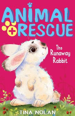 Runaway Rabbit book