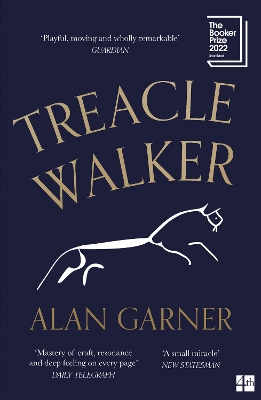 Treacle Walker book