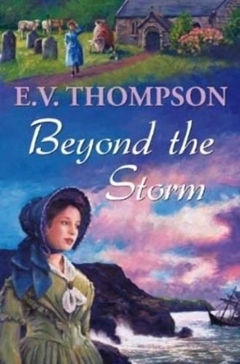 Beyond the Storm book