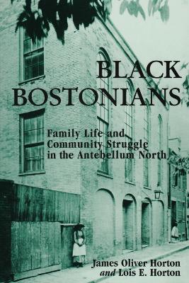 Black Bostonians book